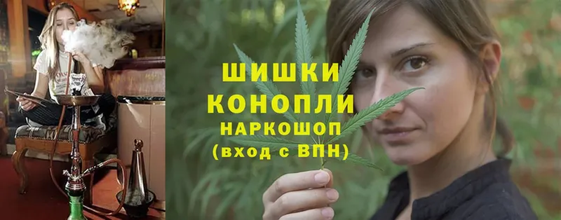 Конопля OG Kush  Игарка 